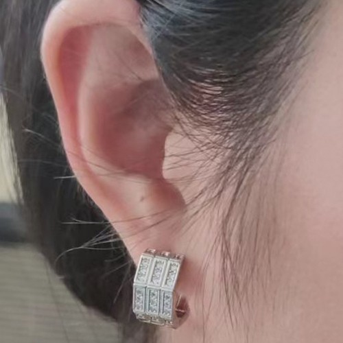 Cubic Zirconia Pave Huggie Earring